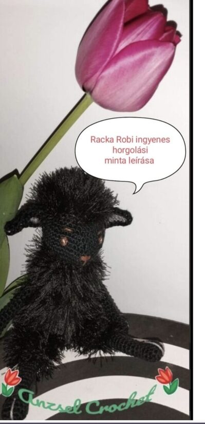 Racka Robi